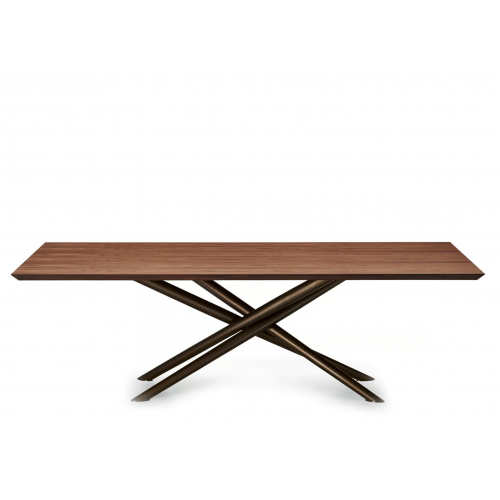 EFORMA TABLE BALY WOOD TOP